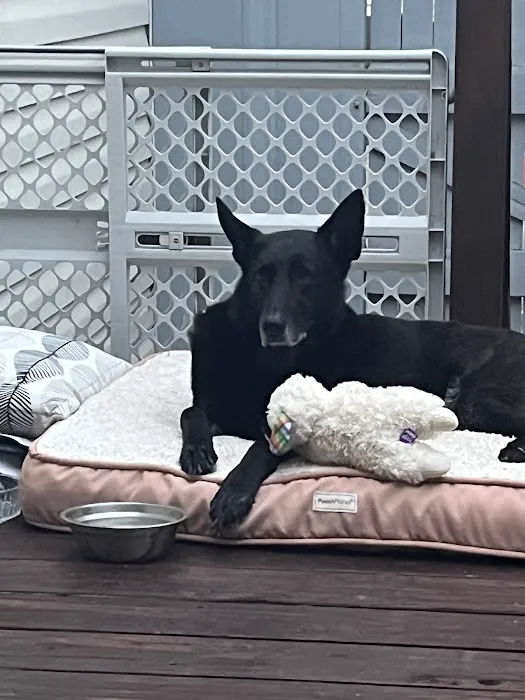 Goodrich Veterinary Clinic Picture 6