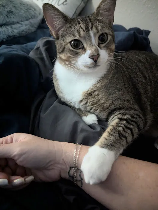 Goodrich Veterinary Clinic Picture 4