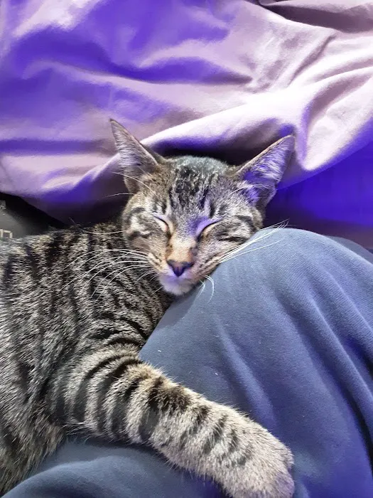 Goodrich Veterinary Clinic Picture 8