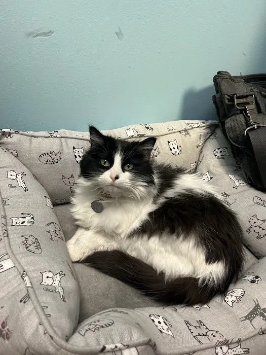 Goodrich Veterinary Clinic Picture 10