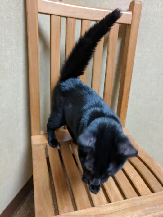 Millard Veterinary Clinics Picture 1