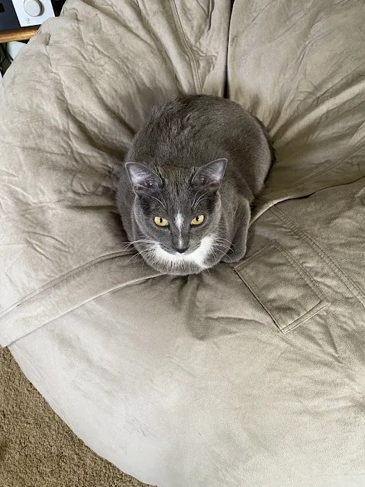 Millard Veterinary Clinics Picture 3