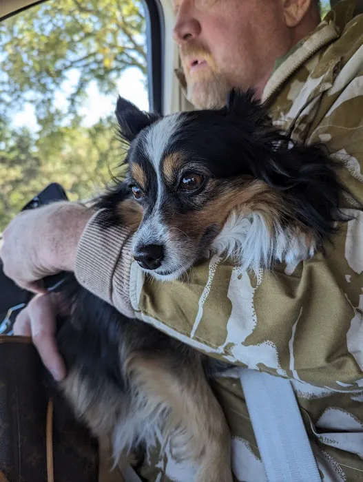 Millard Veterinary Clinics Picture 6