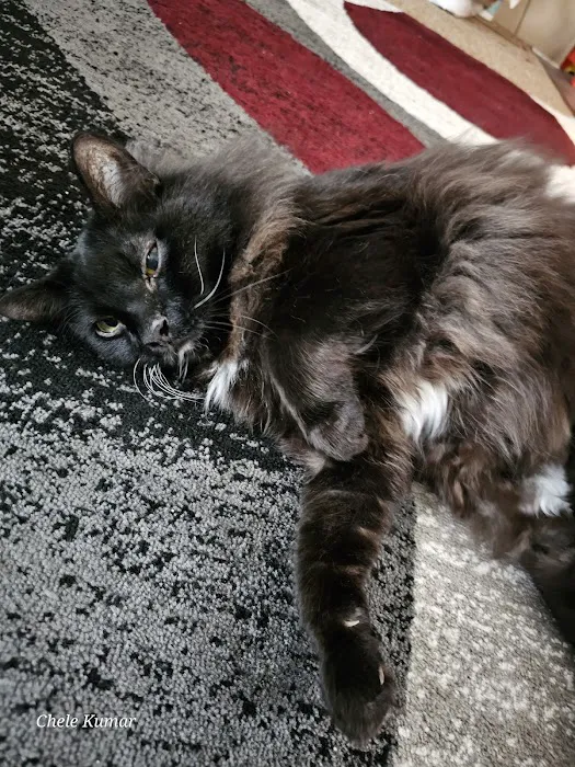 Parker Veterinary Clinic Picture 1