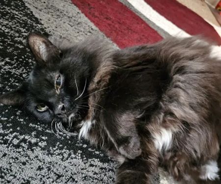 Parker Veterinary Clinic