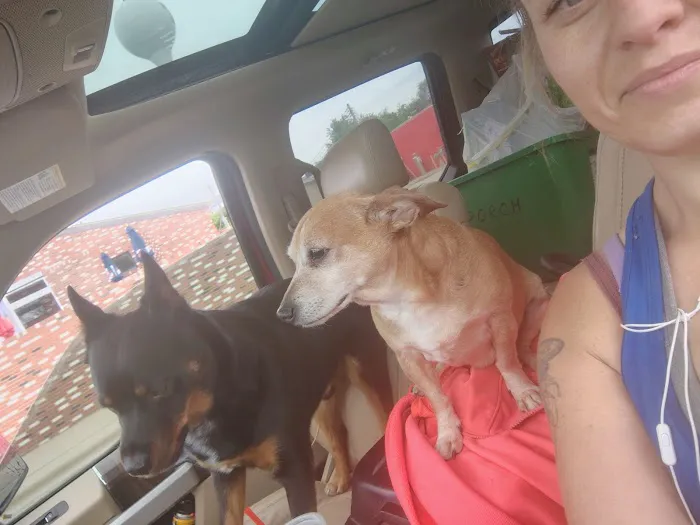 Parker Veterinary Clinic Picture 7