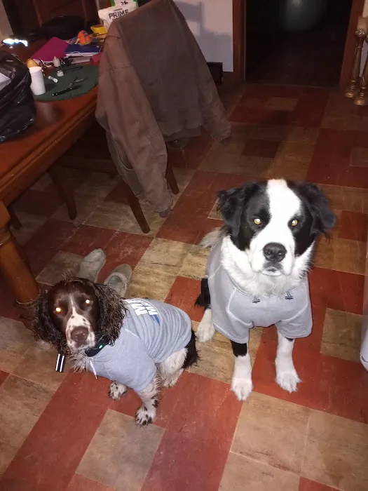 Parker Veterinary Clinic Picture 6