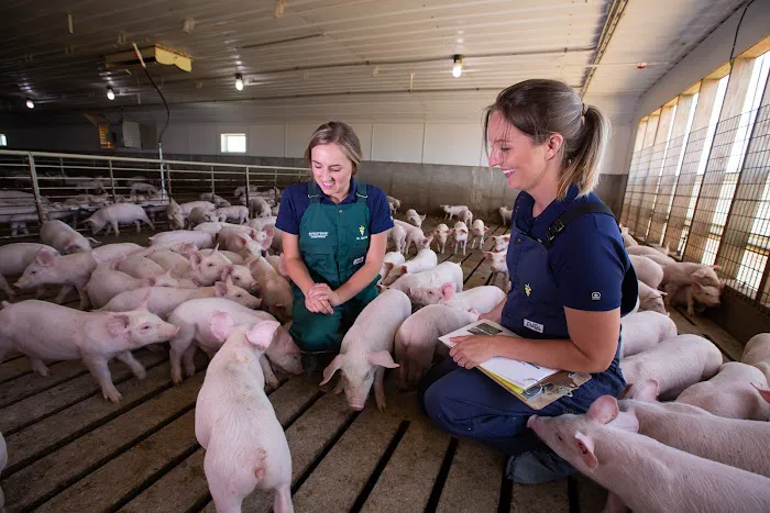 PIPESTONE Picture 10