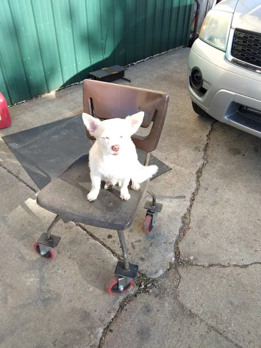 Windy Ridge Veterinary Clinic, PLLC Picture 1