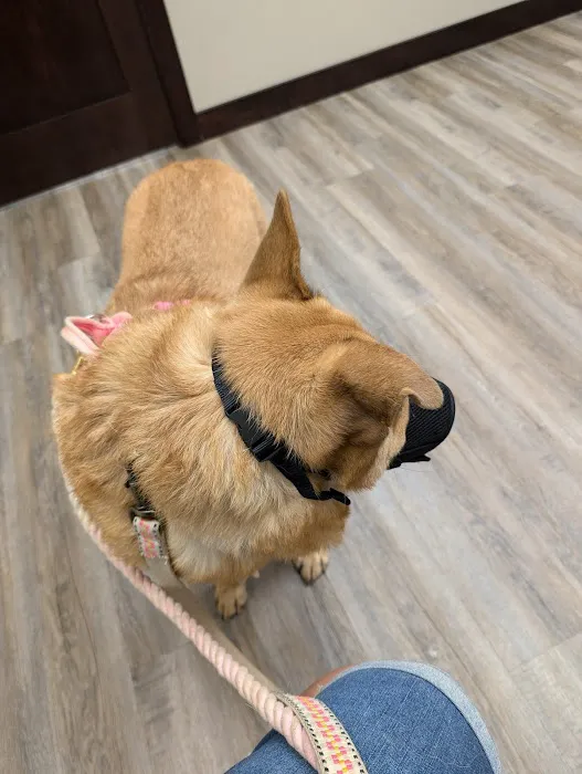 Windy Ridge Veterinary Clinic, PLLC Picture 7