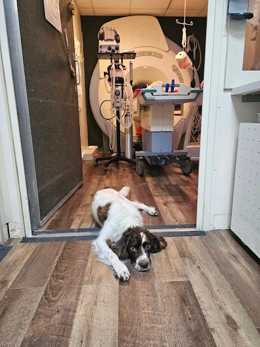 VCA MidWest Veterinary Referral and Emergency Center Picture 10