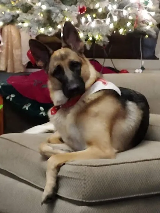 Arbor Valley Animal Clinic Picture 1