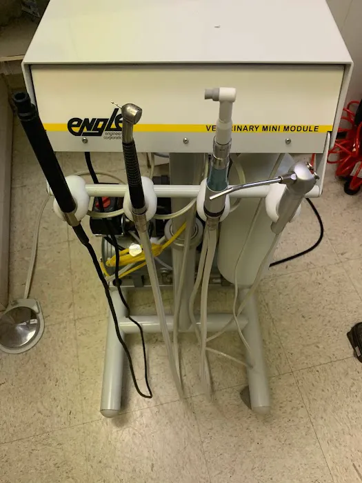 Arbor Valley Animal Clinic Picture 8