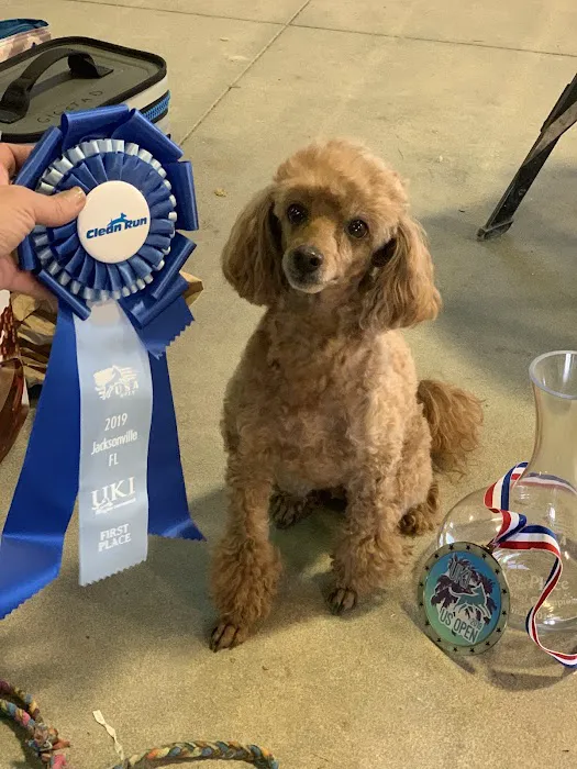 Arbor Valley Animal Clinic Picture 9