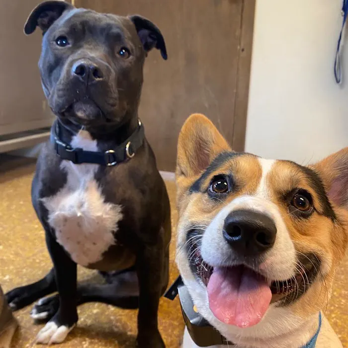 Animal Hospital of Nebraska City Picture 6