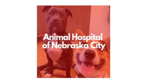 Animal Hospital of Nebraska City Picture 3