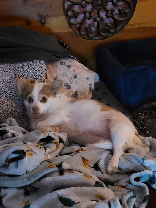 Animal Hospital of Nebraska City Picture 8