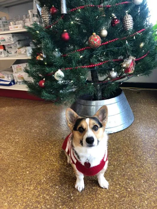 Animal Hospital of Nebraska City Picture 7