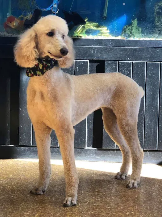 Animal Hospital of Nebraska City Picture 9