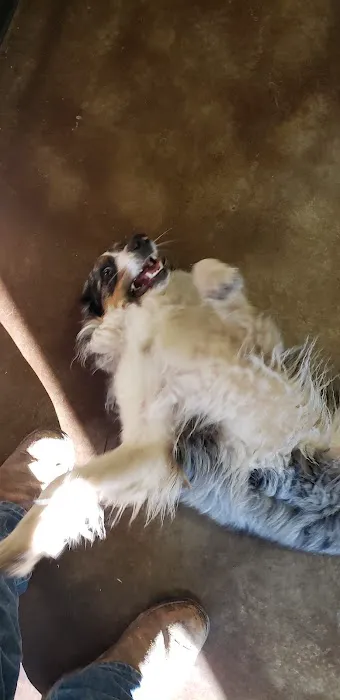 Lubben Veterinary Service, LLC Picture 3