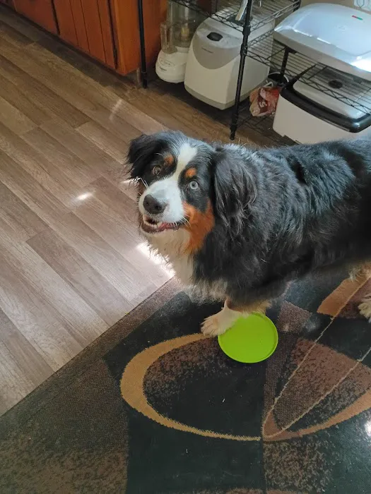 Lubben Veterinary Service, LLC Picture 4