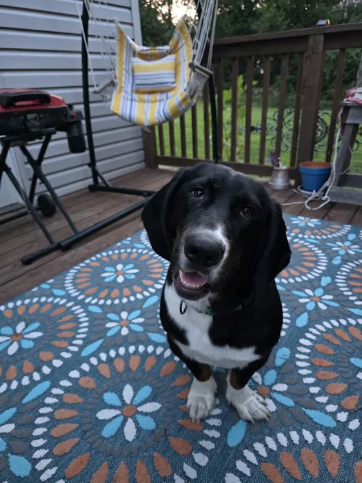 Lubben Veterinary Service, LLC Picture 2