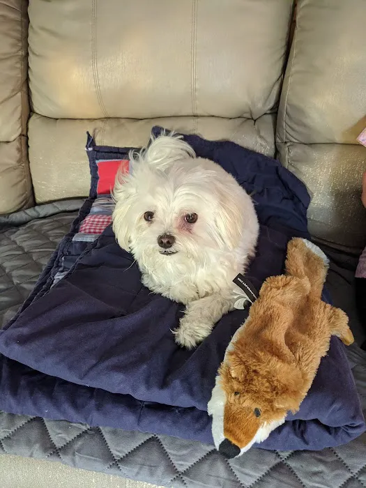 Lubben Veterinary Service, LLC Picture 7