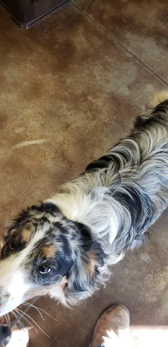 Lubben Veterinary Service, LLC Picture 6