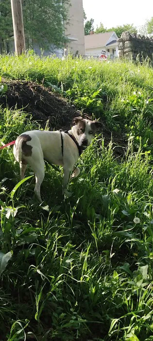 The Animal Clinic of Kearney Picture 3