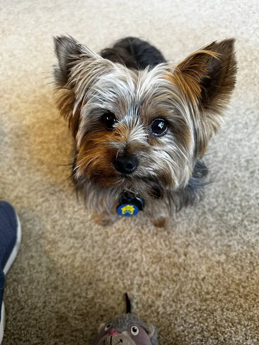 The Animal Clinic of Kearney Picture 1