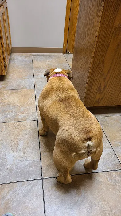 The Animal Clinic of Kearney Picture 7