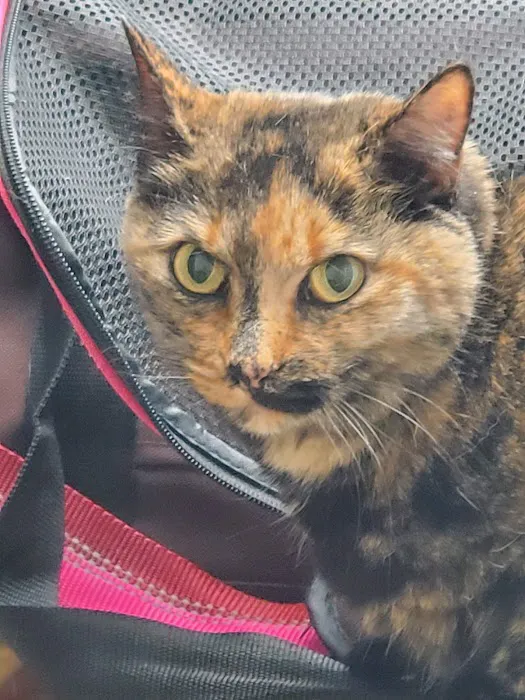 The Animal Clinic of Kearney Picture 6