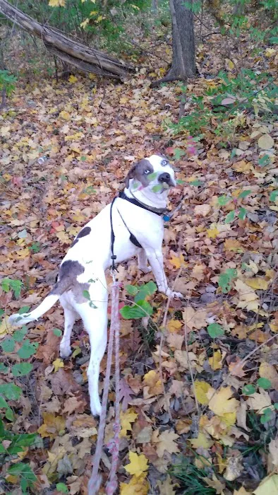 The Animal Clinic of Kearney Picture 5