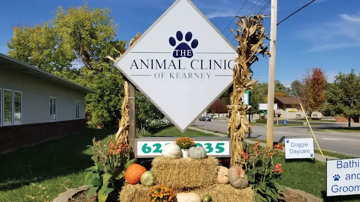 The Animal Clinic of Kearney Picture 10