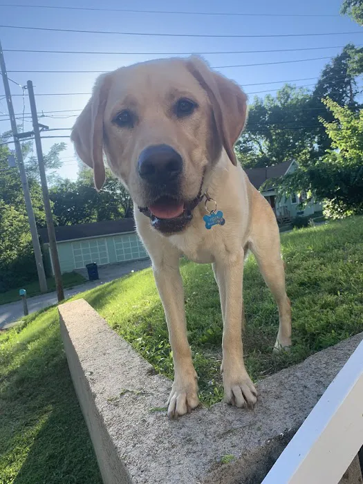 The Animal Clinic of Kearney Picture 8