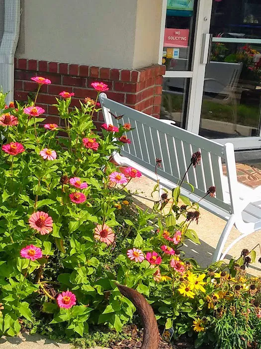 The Animal Clinic of Kearney Picture 9