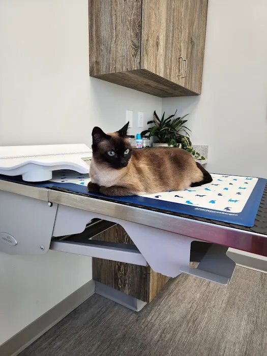 Harmony Hill Animal Hospital Picture 1