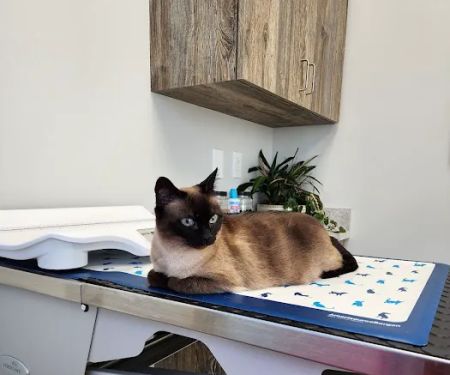 Harmony Hill Animal Hospital