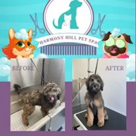 Harmony Hill Animal Hospital Picture 5