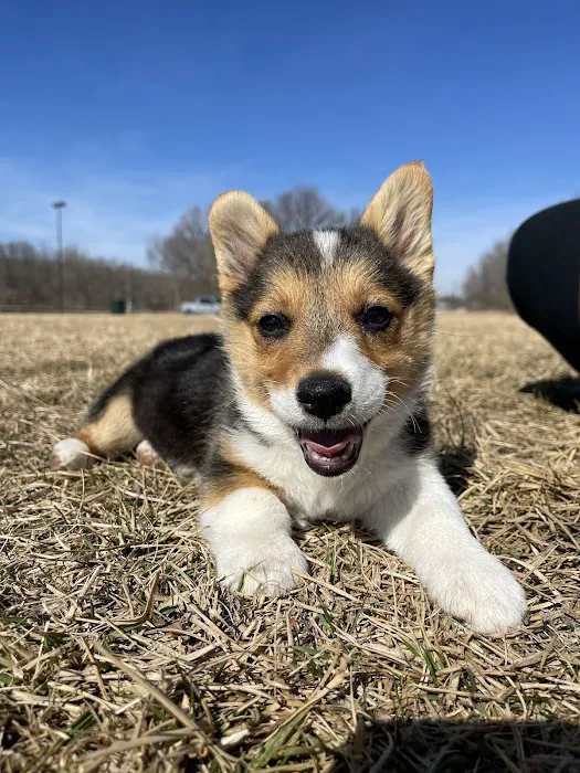 Long Veterinary Clinic Picture 1