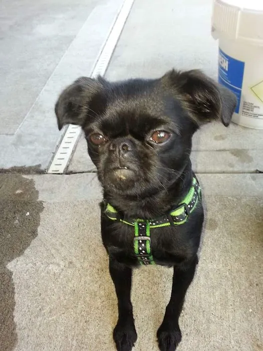 Long Veterinary Clinic Picture 5