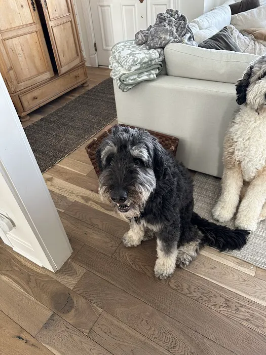 Long Veterinary Clinic Picture 2