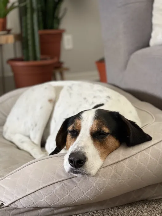 Long Veterinary Clinic Picture 4