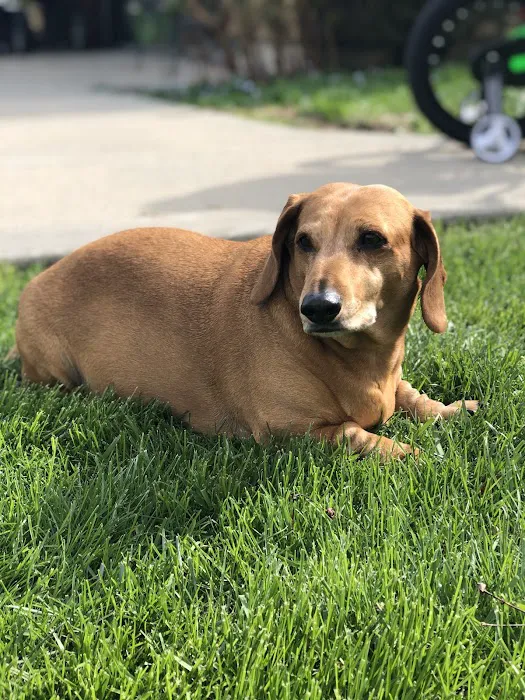 Long Veterinary Clinic Picture 6