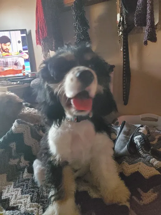 Long Veterinary Clinic Picture 8