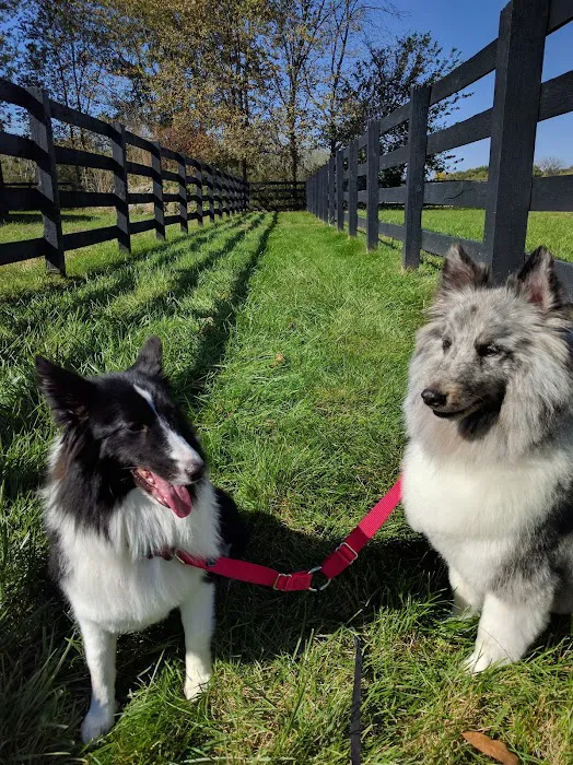 Long Veterinary Clinic Picture 9