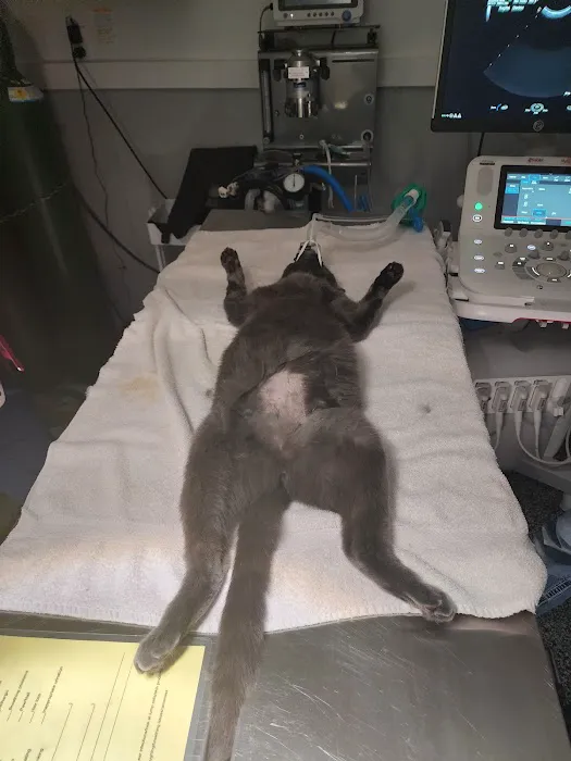 Long Veterinary Clinic: Gundei Adam M DVM Picture 4