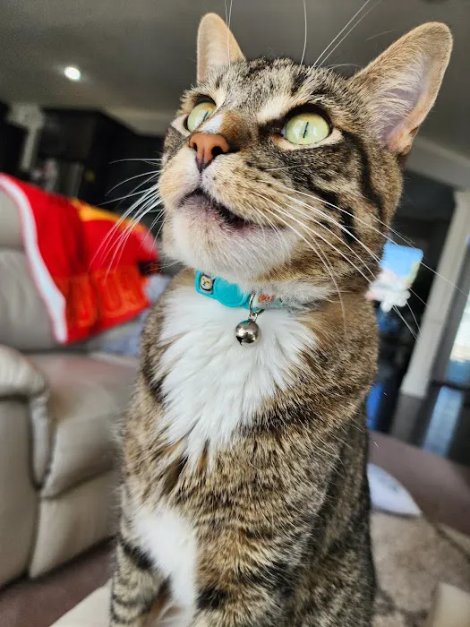 Long Veterinary Clinic: Gundei Adam M DVM Picture 5