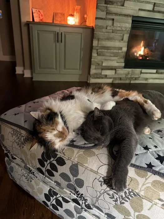 Taylor Animal Hospital Of Smithville Picture 3