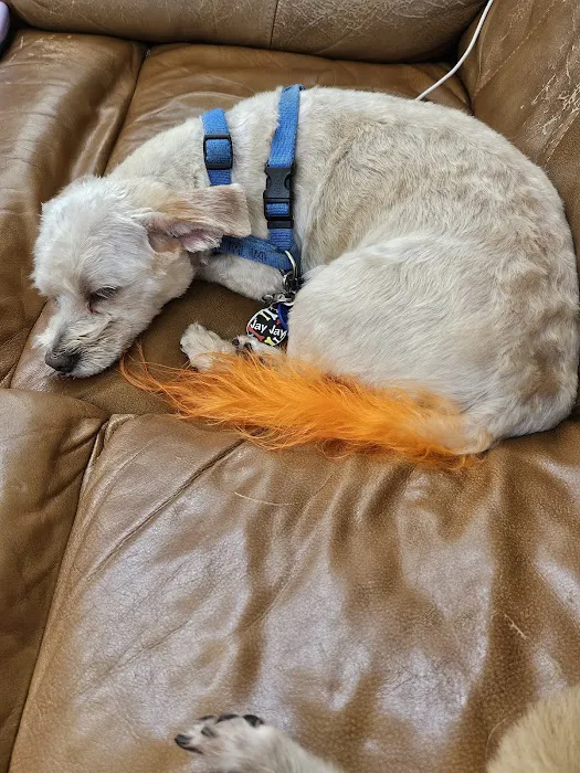 Taylor Animal Hospital Of Smithville Picture 4